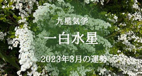 一白水星 2023|2023年 一白水星の運勢【天からの助け＆春がくる。